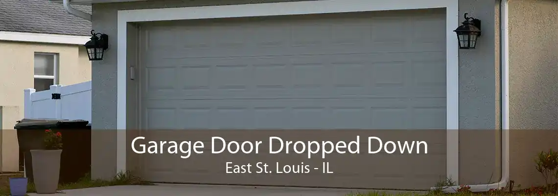 Garage Door Dropped Down East St. Louis - IL