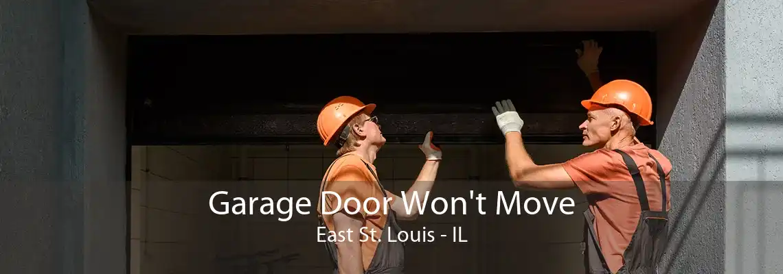 Garage Door Won't Move East St. Louis - IL